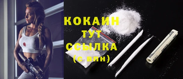 спайс Дмитриев