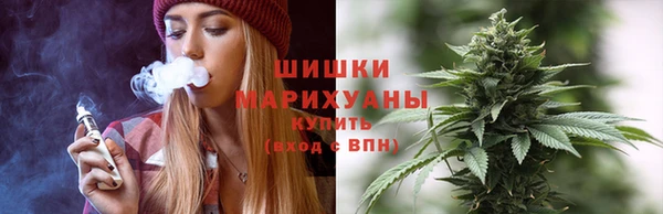 хмурый Ельня