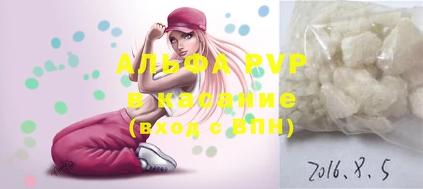 хмурый Ельня