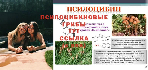 спайс Дмитриев
