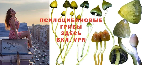 хмурый Ельня