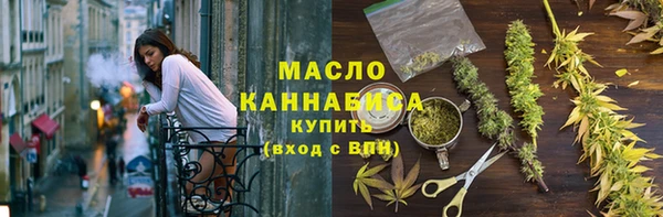 хмурый Ельня