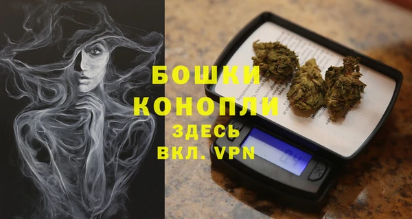 спайс Дмитриев