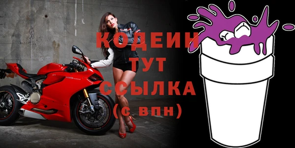 МДПВ Елизово