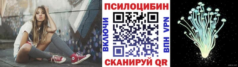 где купить   Шарья  МЕГА рабочий сайт  Галлюциногенные грибы мухоморы 